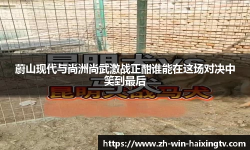 蔚山现代与尚洲尚武激战正酣谁能在这场对决中笑到最后