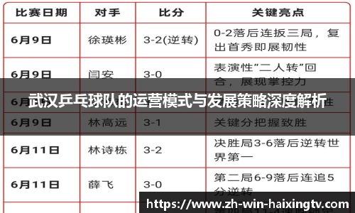 武汉乒乓球队的运营模式与发展策略深度解析